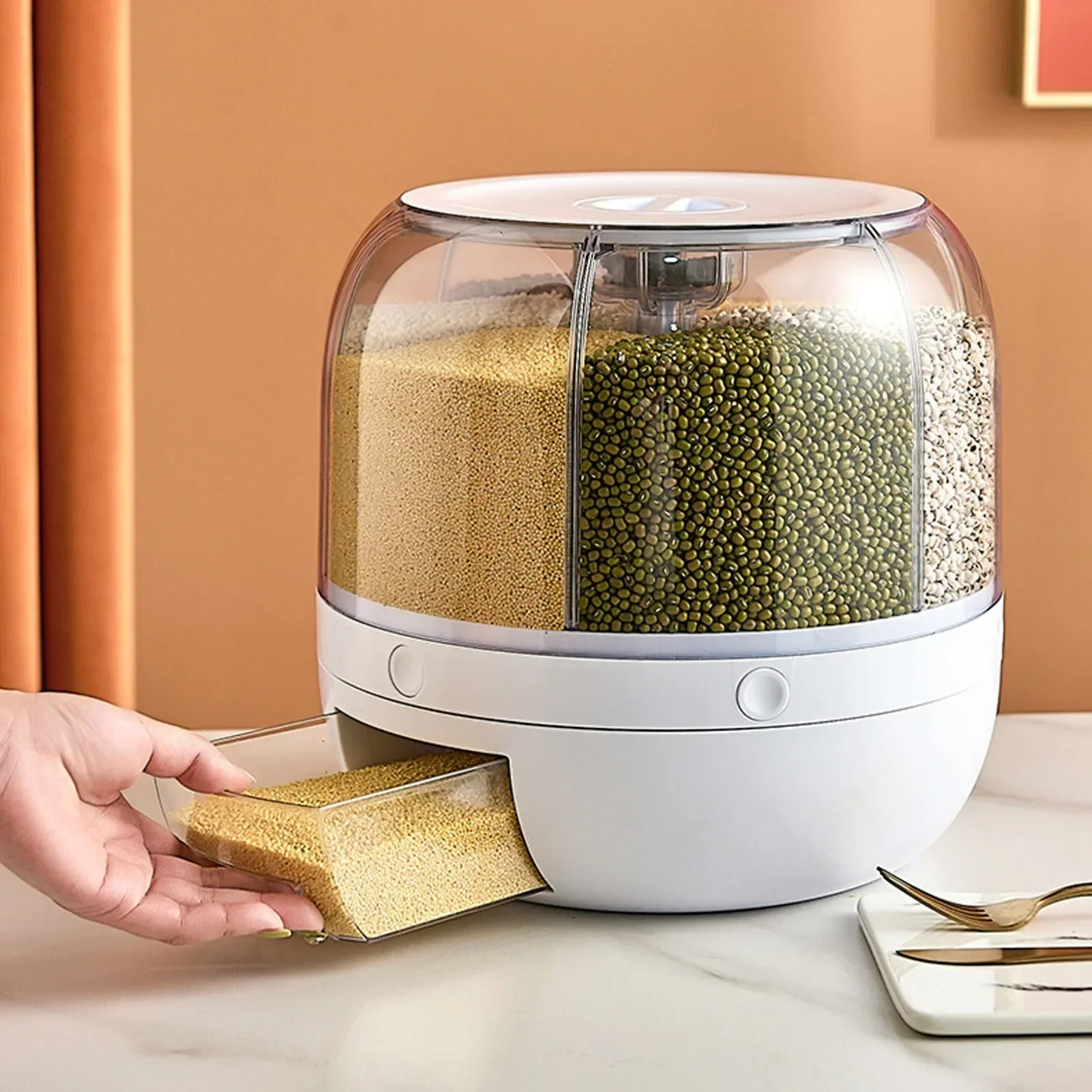 6 compartimentos 360 °   Conte - Food Storage Meals reseña y precio