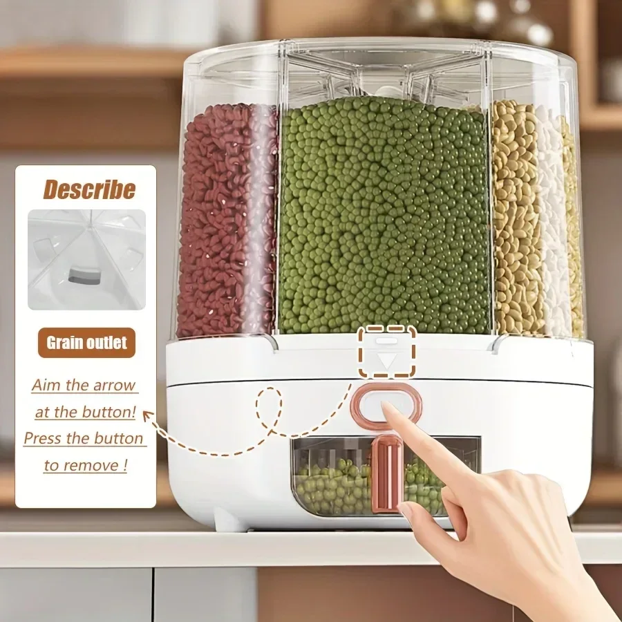 6 compartimentos 360 °   Conte - Food Storage Meals reseña y precio